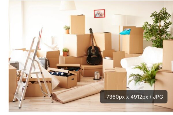 145-Piece 4+ Bedroom Master Packing Kit